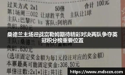 桑德兰主场迎战富勒姆期待精彩对决两队争夺英冠积分榜重要位置